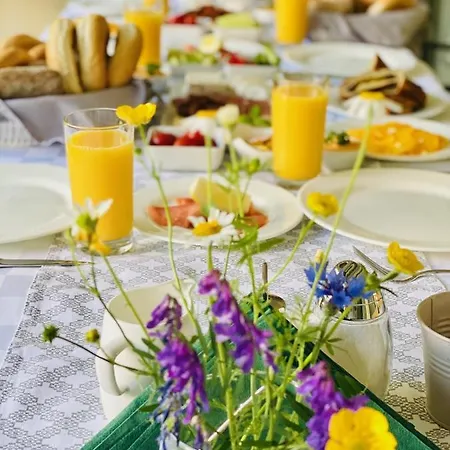 Oliva Boutique Hotel