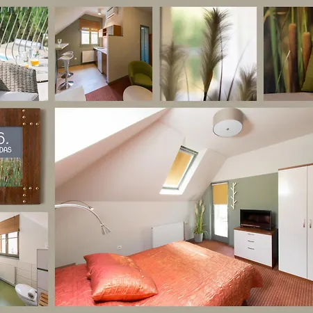 Oliva Boutique Hotel