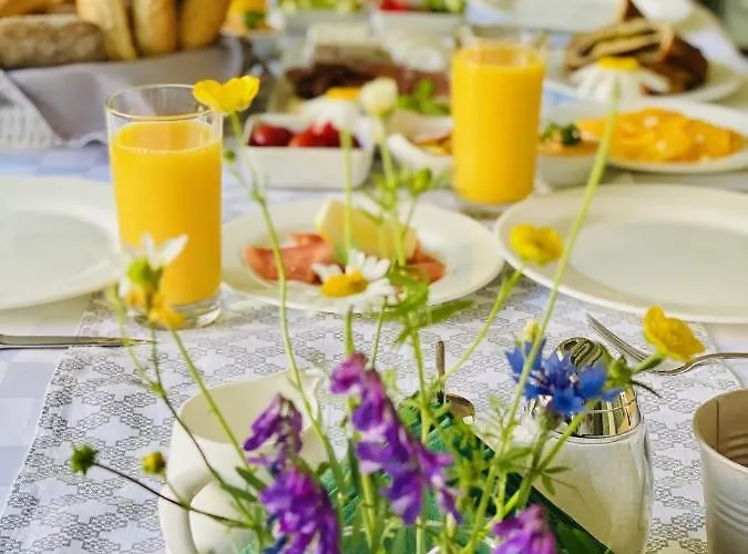 Oliva Boutique ホテル