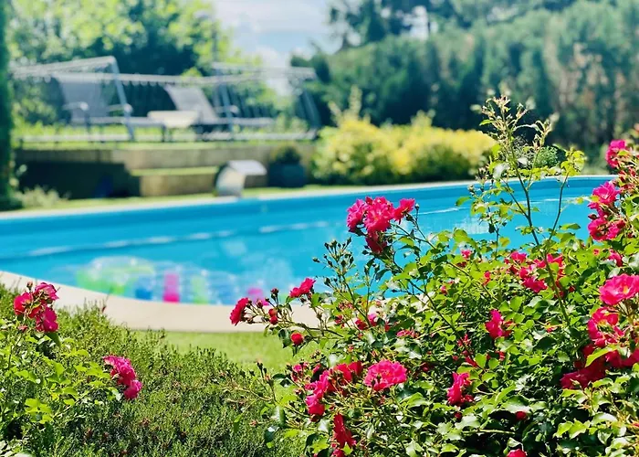 Oliva Boutique Zamárdi