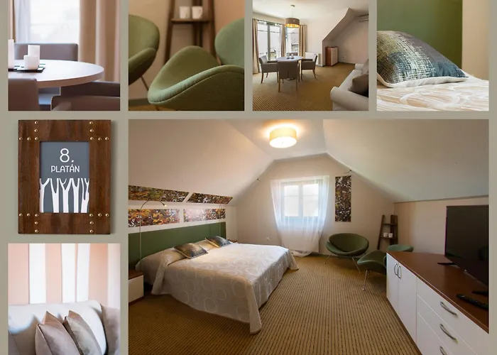 Oliva Boutique Zamárdi